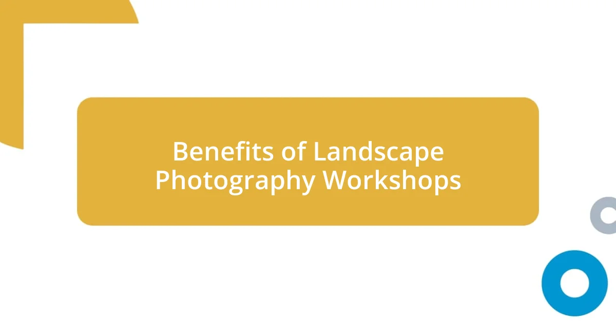 Benefits of Landscape Photography Workshops